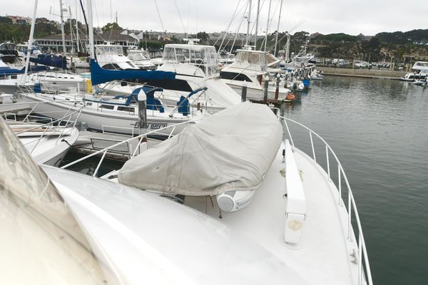 8982360_20230809150806141_1_XLARGE